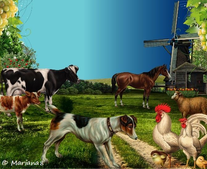 Domácí zvířátka-UNDER