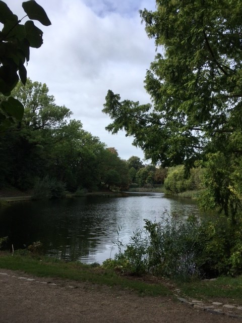 73168fde-75c1-473c-b035-5752407b809a_l.jpg (480×640)