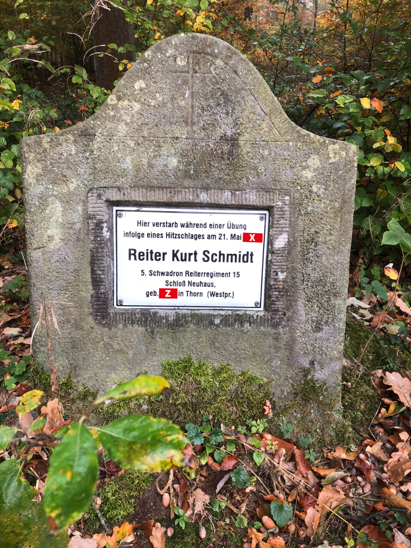 Reiter Schmidt