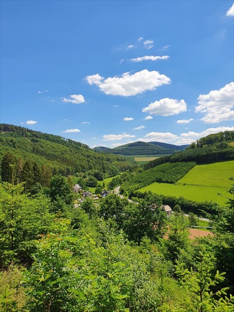 Panorama