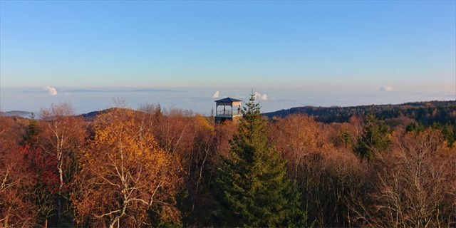 Pohled na rozhlednu (listopad 2020) Rozhledna 2020