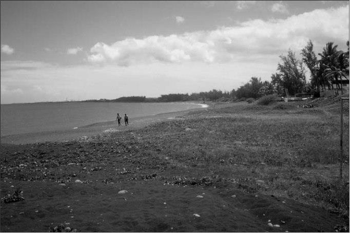 Avant-dune surbaissée