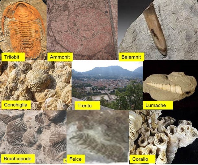 metodi per la datazione di rocce e fossili utilizzati dai paleontologi