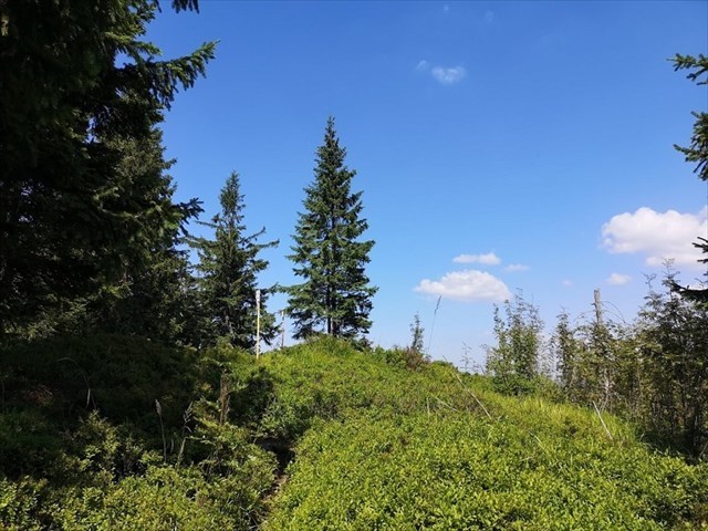 Vrchol Jarabinej 8.8.2020