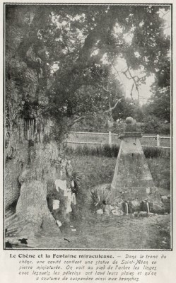 Le Chêne et la Fontaine miraculeuse