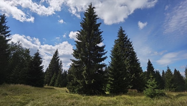 Tlstá hora 1.9.2022