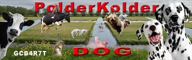 PolderKolder Dog