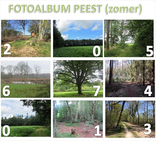 fotoalbum Peest zomer