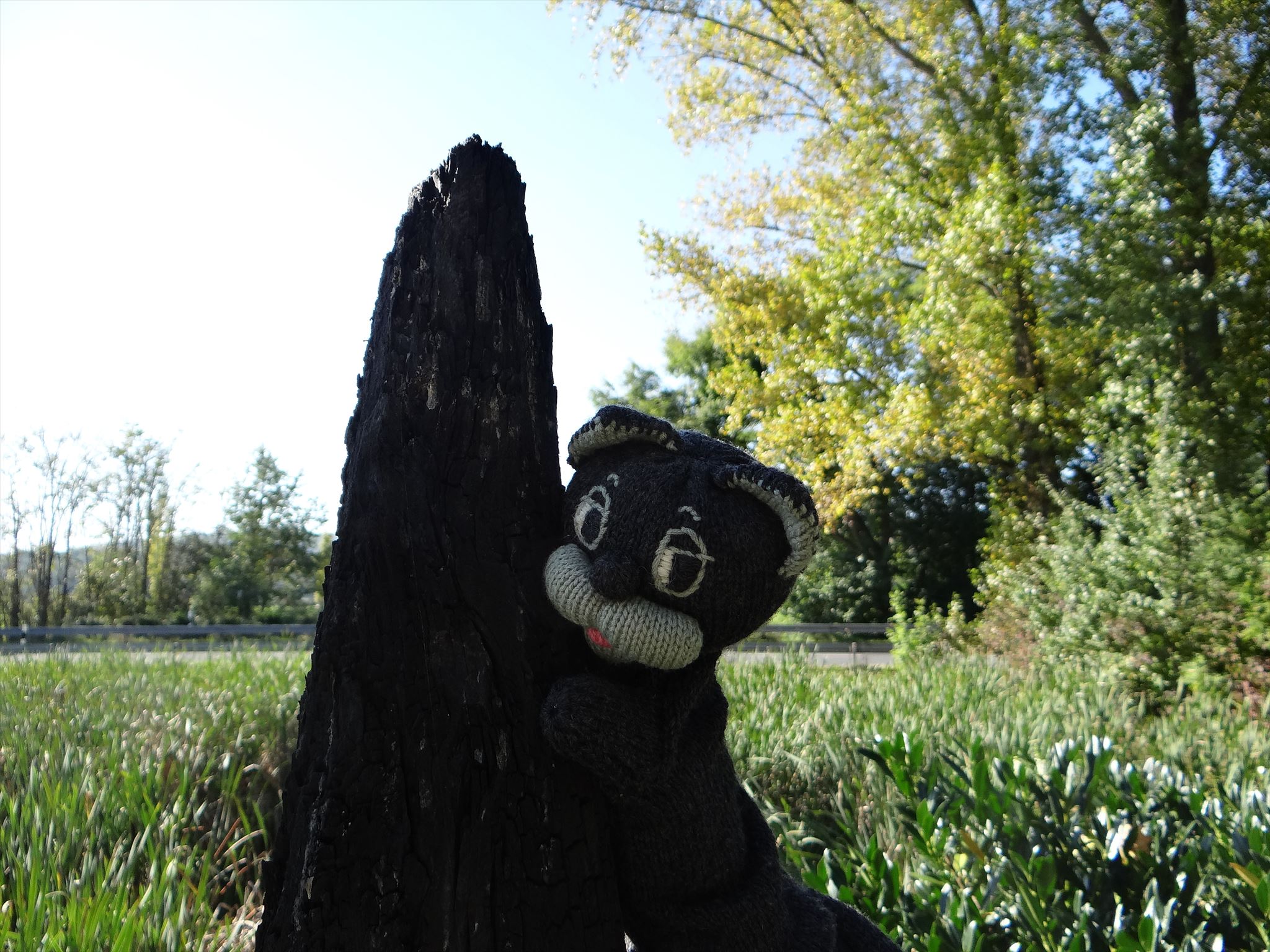 Darf ich mich vorstellen: Geo, the cat