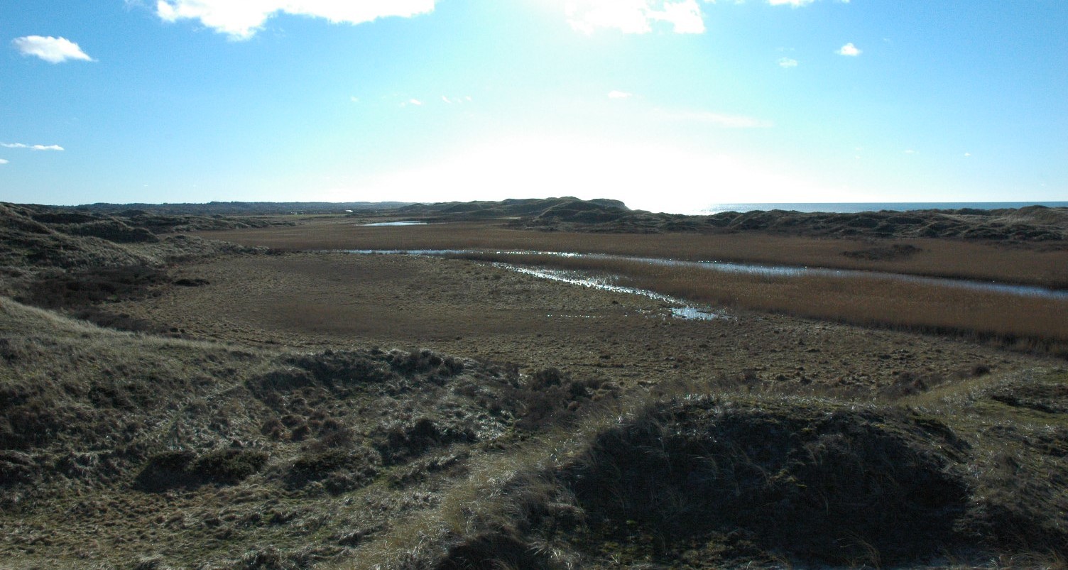 Udsigt mod sydvest over Det gamle Åløb udsigt mod sydvest