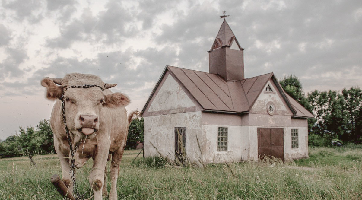 Fotografia - Horná Roveň - Požiarna zbrojnica s kravičkou