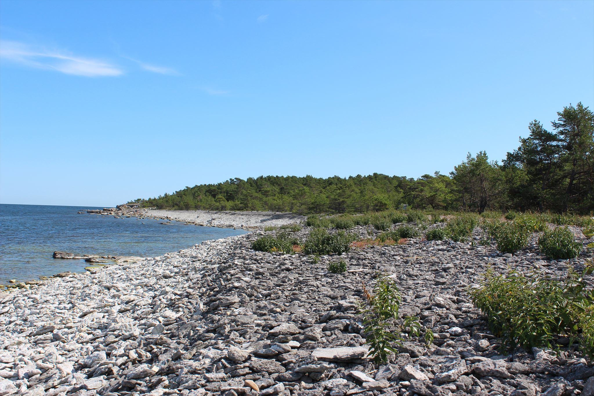 Stenstrand/Pebble beach