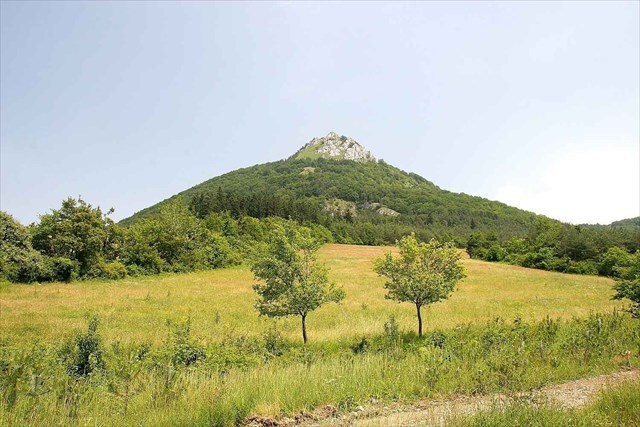 Vrch Vápeč (955 m n.m.) v Strážovských vrchoch. Vrchol, príkrová troska hronika, je tvorený svetlými triasovými wettersteinskými vápencami.
