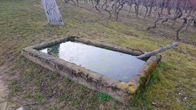 Sveti Križ / Holy Cross