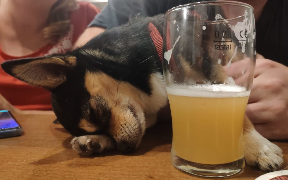 Sleeping Dog NEIPA