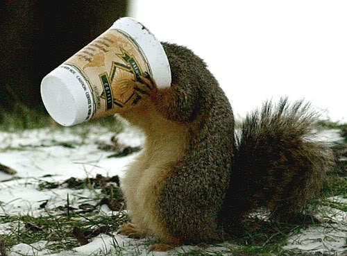 His name is Chippy. And he prefers his coffee black. With sugar.
