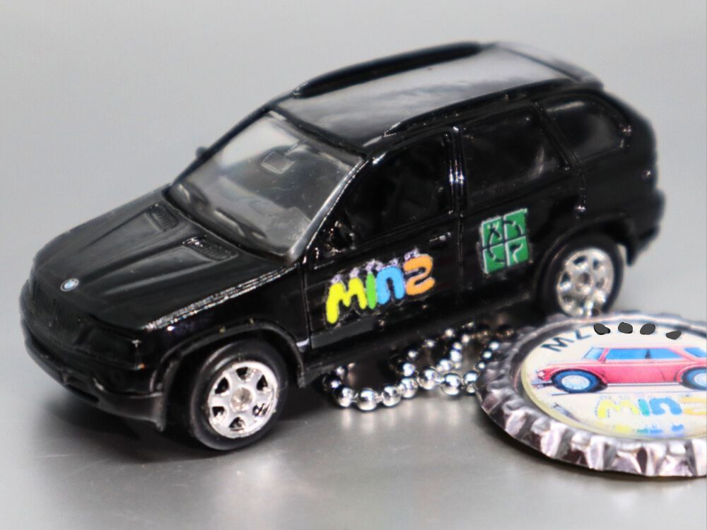Minz TB - BMW x5