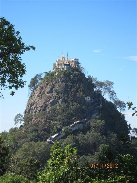 7808f4ea-fdbe-4c8e-bc30-3f85cd0077c8_l.jpg (480×640)