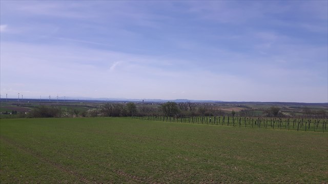 Aussicht_3