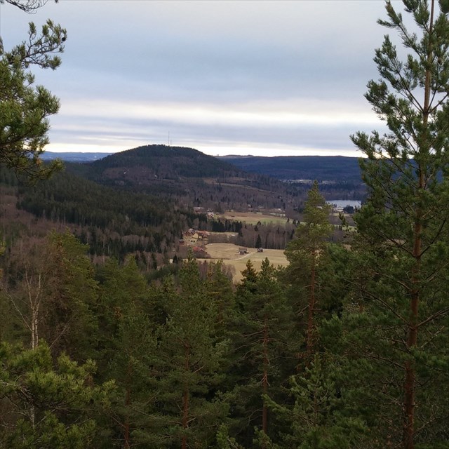 utsikt från slogboden