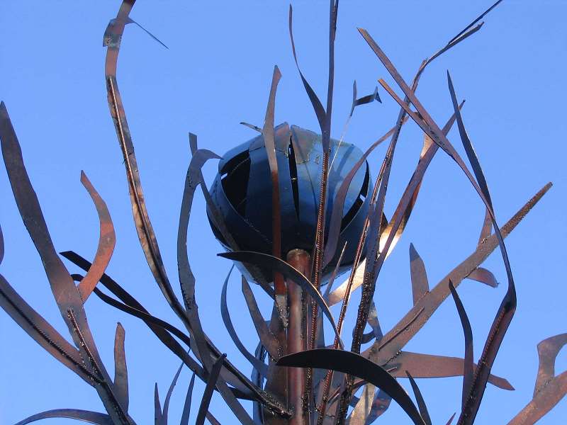 arbre de la transmission