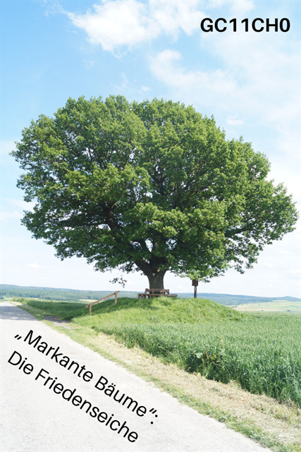 Friedenseiche Hombressen