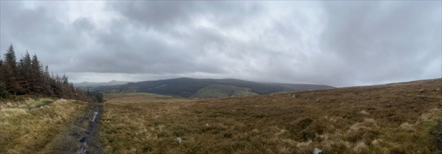 Sugar Loaf View
