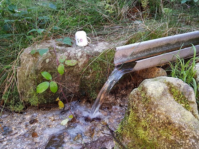 Napijte se Napijte se. Drink.