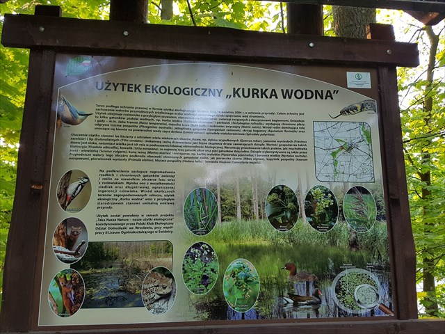 Tu podaj tekst alternatywny