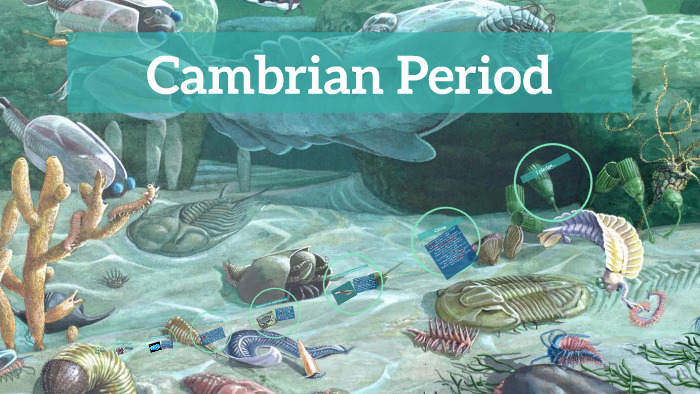 Cambrian