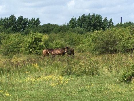 7aeab7fd-7607-430a-9e44-60052f14a511_l.jpg (466×350)