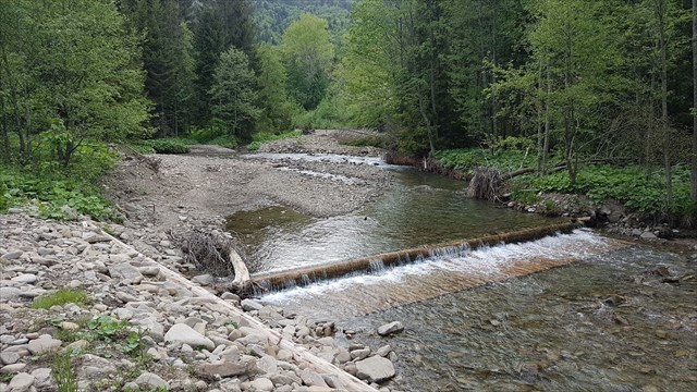Rzeka