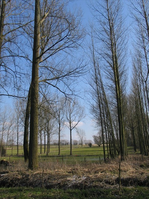 Pajottenland Pajottenland