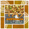 Tasmania