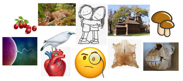 Heraldický bizár z Prešovského kraja