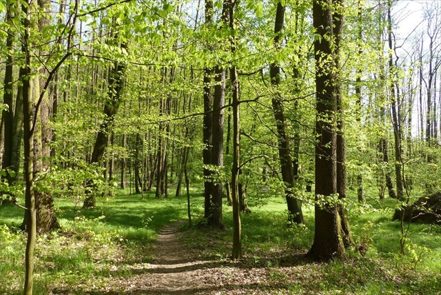 https://s3.amazonaws.com/gs-geo-images/7d6d3e19-3dc1-4e04-889d-55c16c2ba3bd_l.jpg