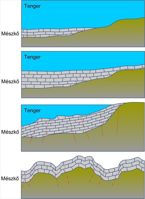 Mészkő képződés