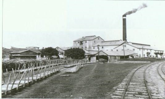 Taipei Sugar Factory