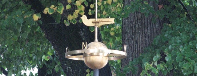 der Vogel