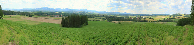 Pohled z vyhlídky - panorama Kraví hora–Temelín