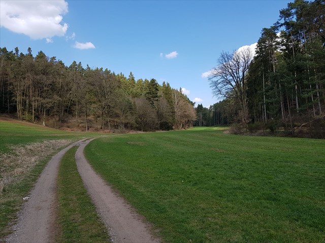 Bild: Das Tal im Frühling