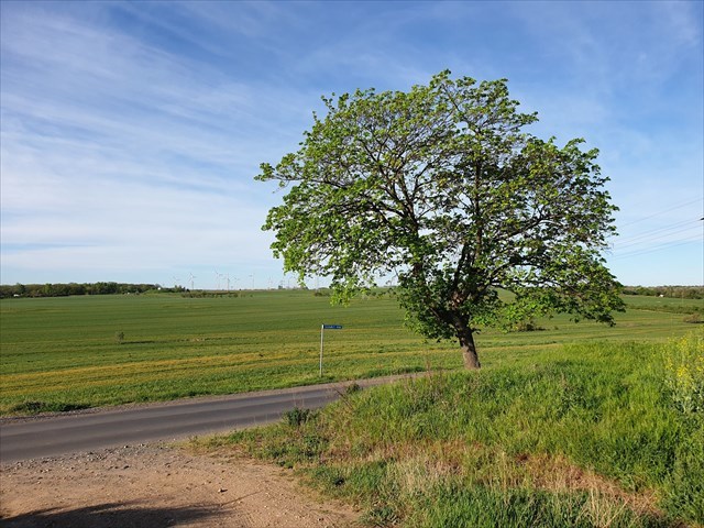 Hier sollte sich ein Bild befinden