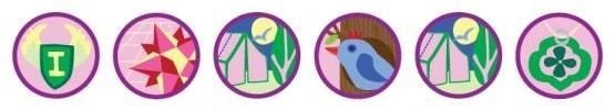  Junior Badges