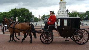 More information can be found at the corresponding Wikipedia page, which is the source of this information