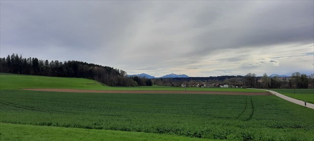 links der Schlittenhang am Schneckenberg 