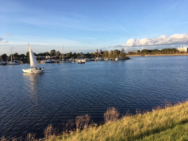 8031d761-bbb7-4d73-a7be-66418ba94bcc_l.jpg (640×480)