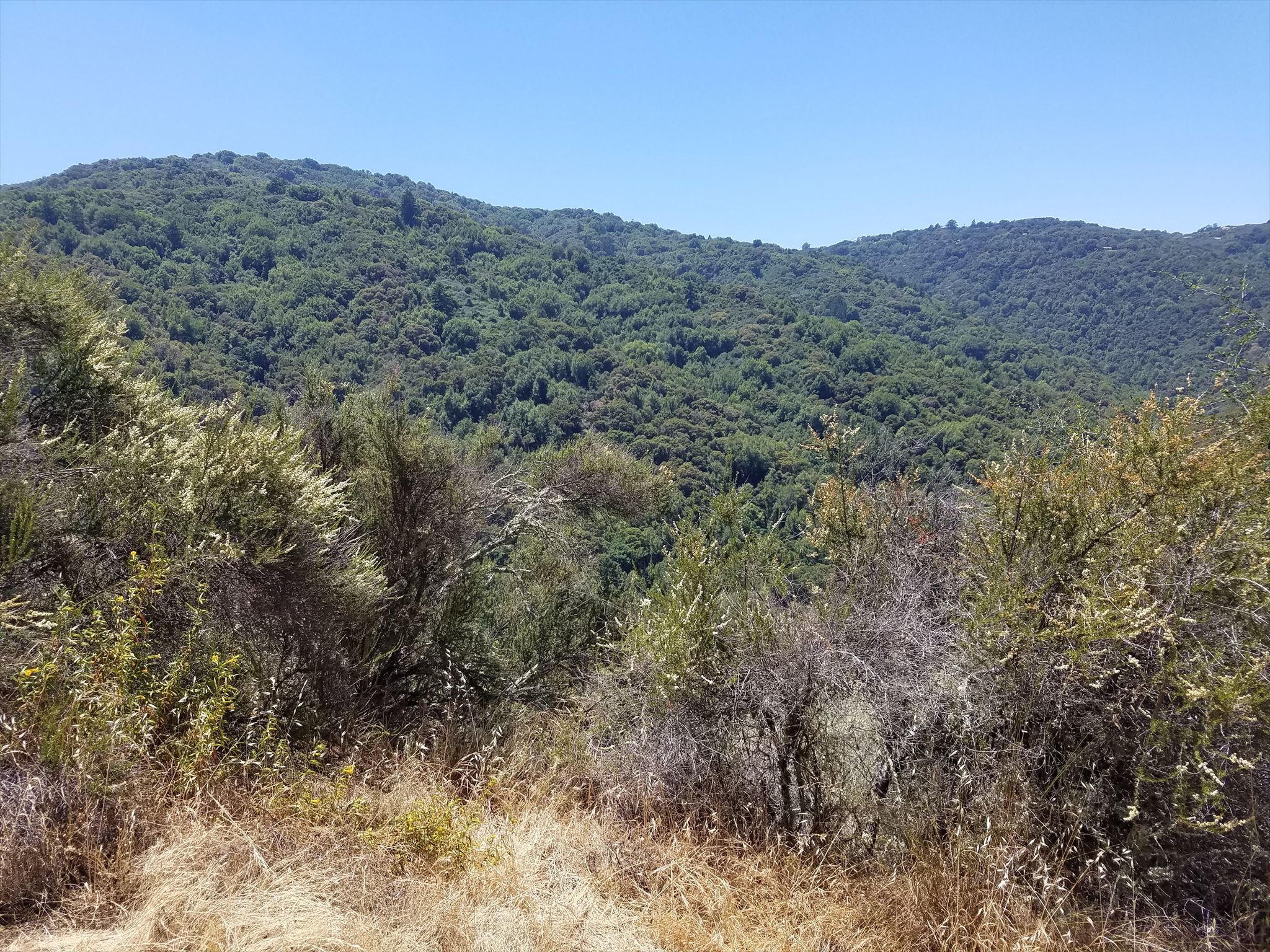 Beautiful hillside view