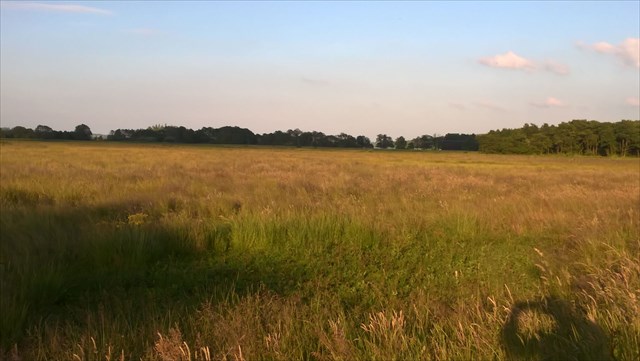[Indlandsdelta/Inland delta]