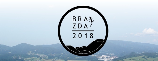 logo BRAZDA