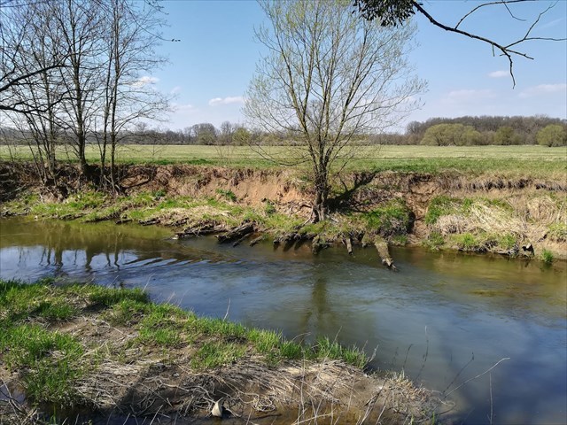 Hatěná cesta